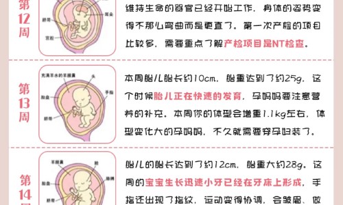 刺血拔罐为什么能治病专区_刺血拨罐图片真实专区_刺血拔功效网